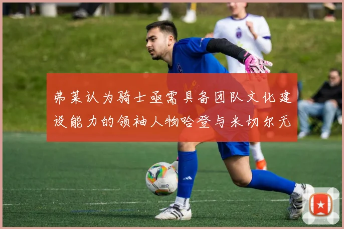 弗莱认为骑士亟需具备团队文化建设能力的领袖人物哈登与米切尔无法胜任